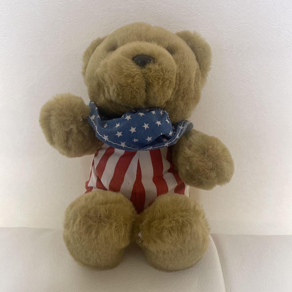 [USED] American Teddy Bear Plush Toy