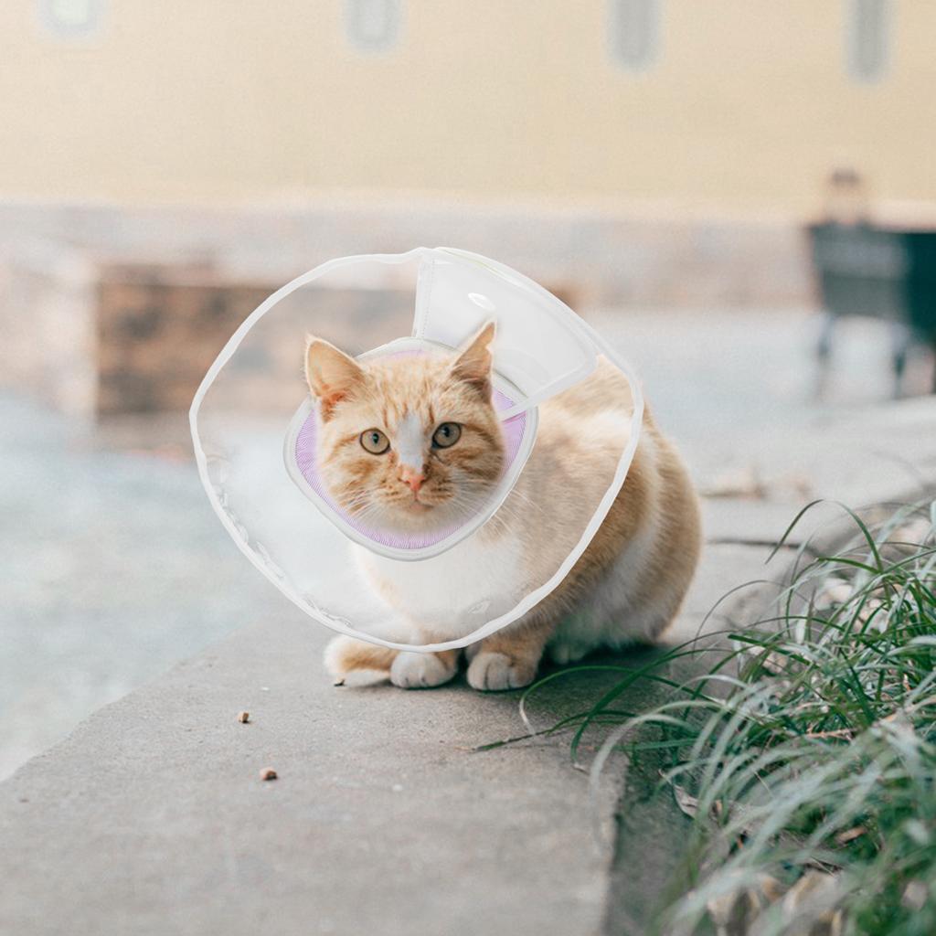Soft Conical Collar Breathable Pet Recovery Necklace Post Surgery Anti Licking Scratch Dog Accessories