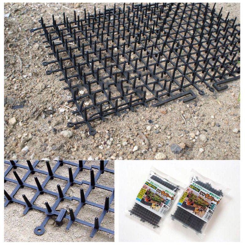 Buy Anticat Thorn Mat To Prevent Stepping Garden Balcony Cat