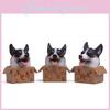 Box Cartoon Cute Corgi Husky Shepherd Dog Mini Model Ornament Decoration Desktop