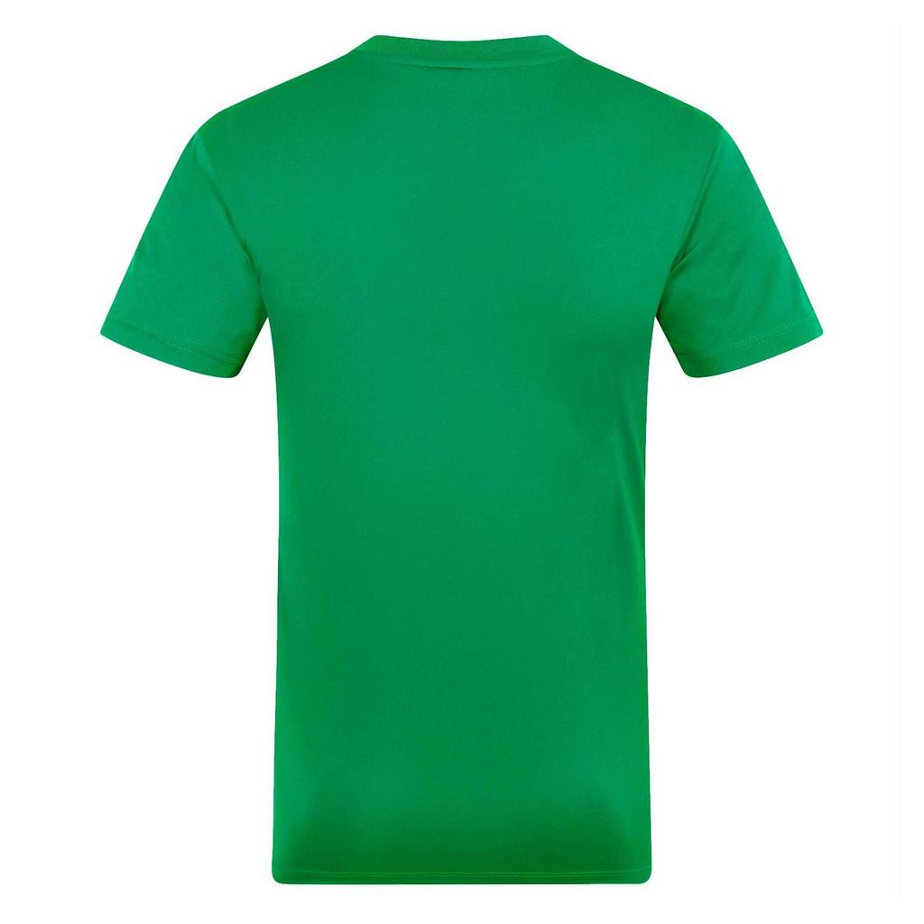 Northern Ireland Mens Contrast Striped Polyester T-Shirt