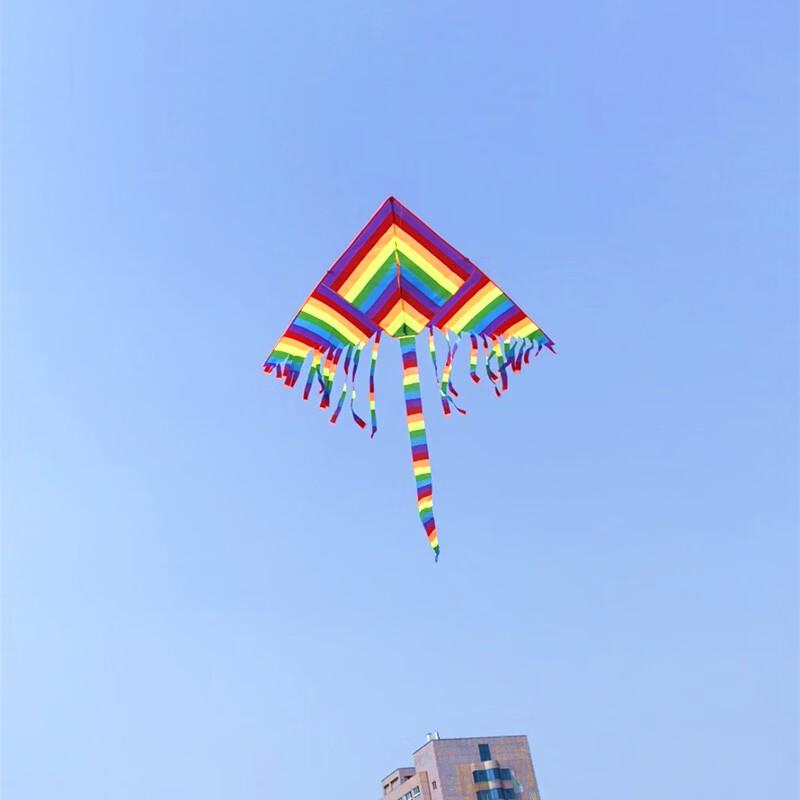 Colorful Rainbow Delta Kite with Long Tail