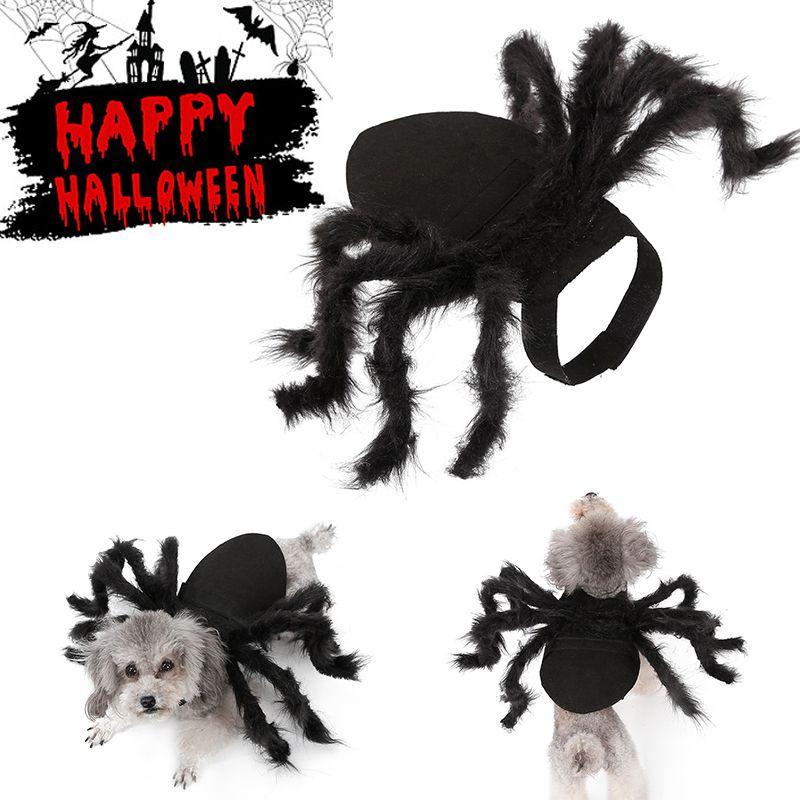 Unique Pet Costume For Halloween Party Black Spider Design