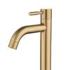 Brush Gold Single Cold Basin Faucet 304 Material Basin Mixer Bathroom Sink Faucet Water Wash Mixer