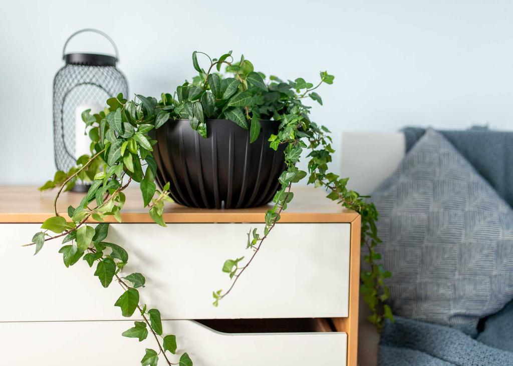 Donica Stripped Eco Recykling Wisząca