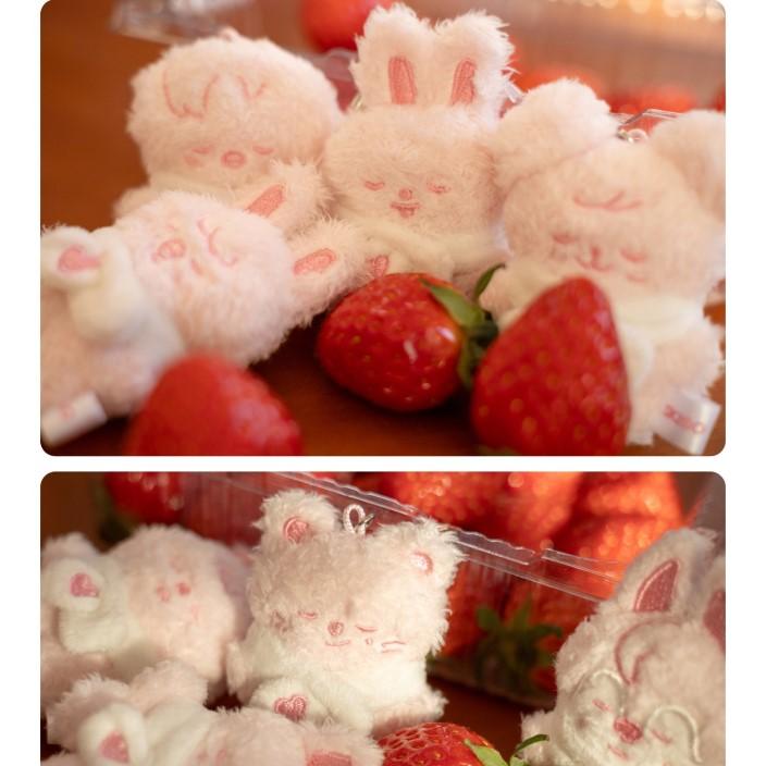 Stray Kids [STAY In Our Little House] SKZOO SECRET PLUSH MICRO SLEEPING Ver