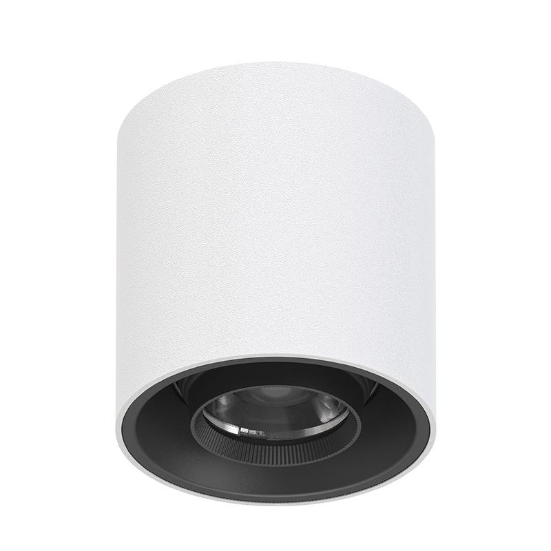 Adjustable LED Ceiling Downlight - Anti-glare Recessed Spotlight for Home and Hallway