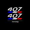 2Pcs, Car Sticker Decal Center Pillar Sticker for z333 3008 5008 2008 106 107 108 205 206 207 208 RCZ 306 307 308 508 406 407 333z