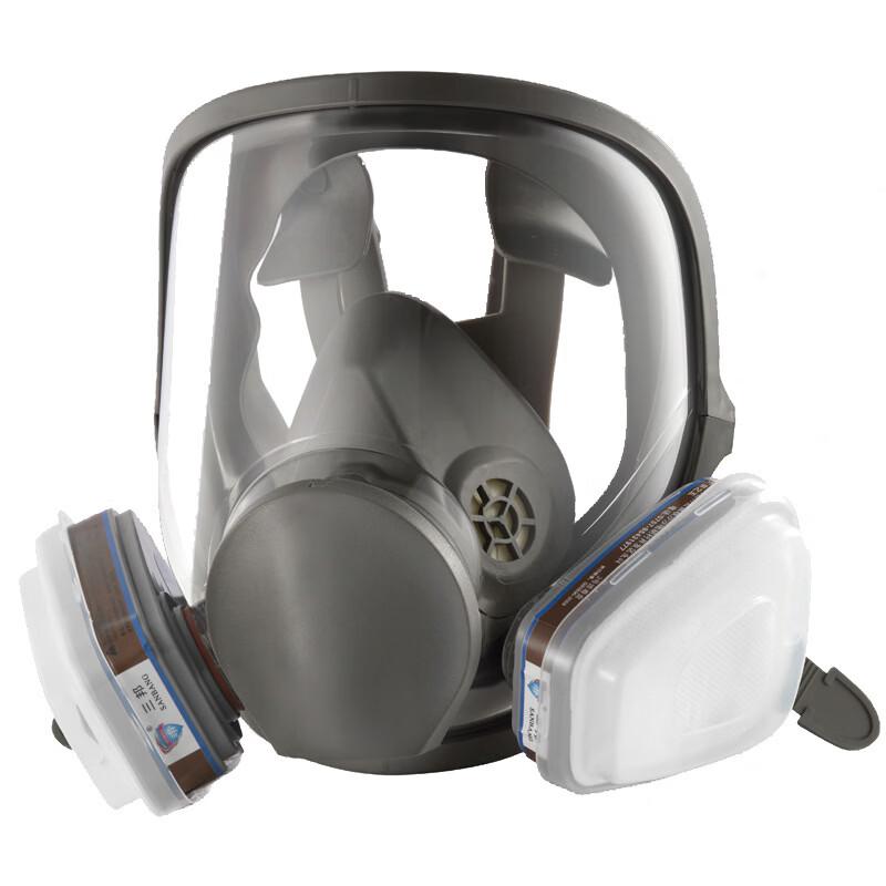 Brangdy 880D Full Face Protective Mask