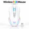 2.4G Wireless RGB Optical Gaming Mouse, Pixart PAW3325 Sensor, 3600 DPI Remappable Buttons Ergonomic Grip