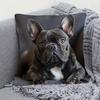 1Pc French Bulldog Cute Dog Printed Throw Pillow Cover, Suitable For Sofa, Bedroom, Living Room, A Healing Gift For Dog Lovers.