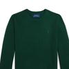 Polo Ralph Lauren Sweater FW24 Logo Embroidered Crew Neck Pullover Long Sleeve Kids sweater Academy-Green CWPOSWEY6820527-300