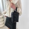 Simple Women Puffy Quilted Padded Makeup Storage Bag Space Cotton Clutches Zipper Solid Color Small Cosmetic Handbag MIT