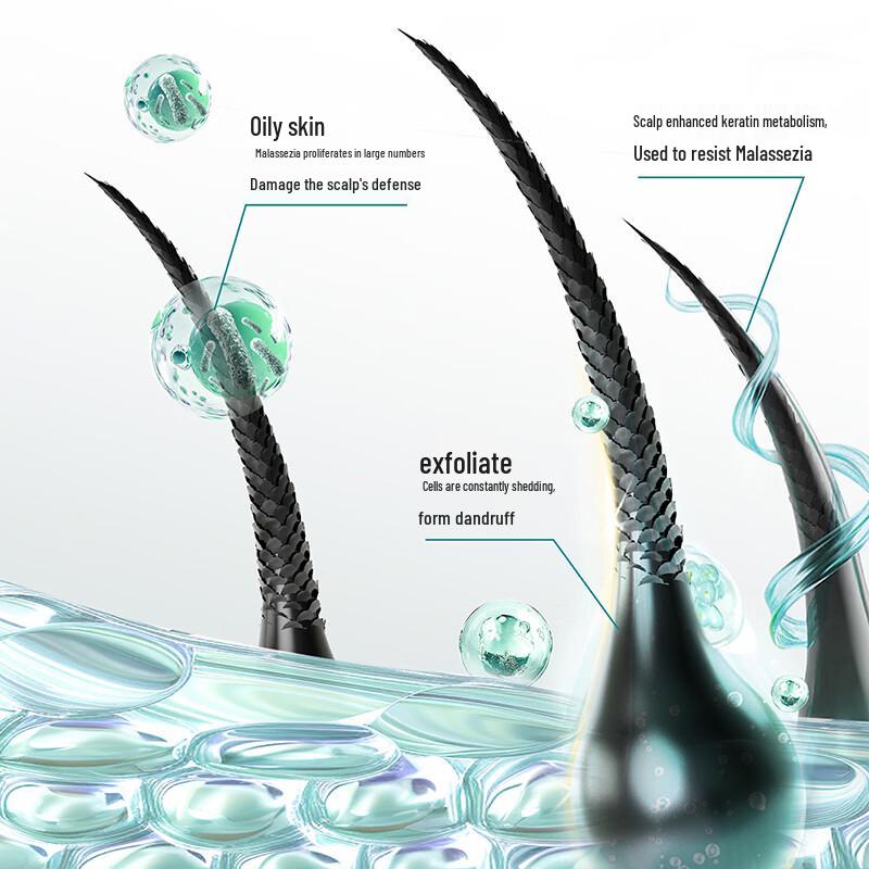 SLEK Oxygen Active Dynamic Oil Control Anti-dandruff Shampoo