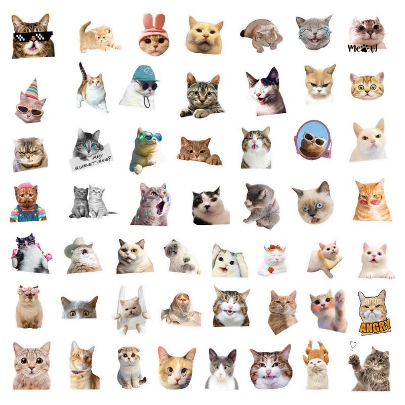 50pc/set Sweet INS Kitten Scrapbook Sticker Transparent Kawaii Cat Journaling Background Sticker DIY Decor Guitar Laptop Sticker