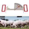 Feeding Management Ruler Accurate Stainless Steel Pregnant Sow Backfat Caliper For Farm