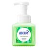 Blue Moon Natural Aloe Foam Antibacterial Hand Wash