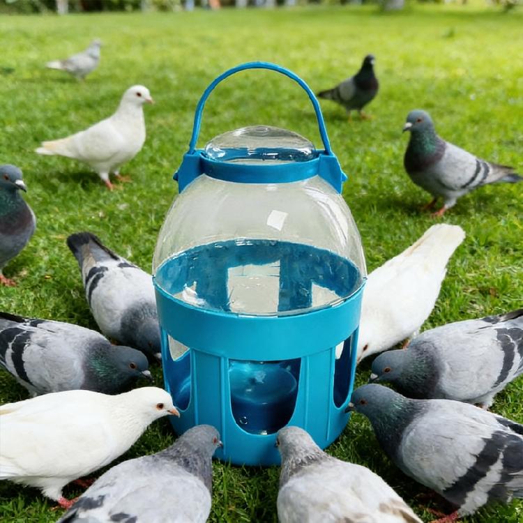 Automatic Refilling Water Container for Pigeons Sturdy Plastic Construction Indoor Outdoor Use