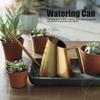 Long Spout Plant Watering Pot Stainless Steel Long Spout Watering Can  Balcony Plants