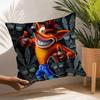 Game C-Crash B-Bandicoot Pillow Case Square Double‑Sided Print Cushion Case For Sofa Home Bedchamber Decor Gift