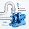 Customizable Vertical Pipe Booster Centrifugal Pump for Hot Water Circulation (Various Sizes Available)
