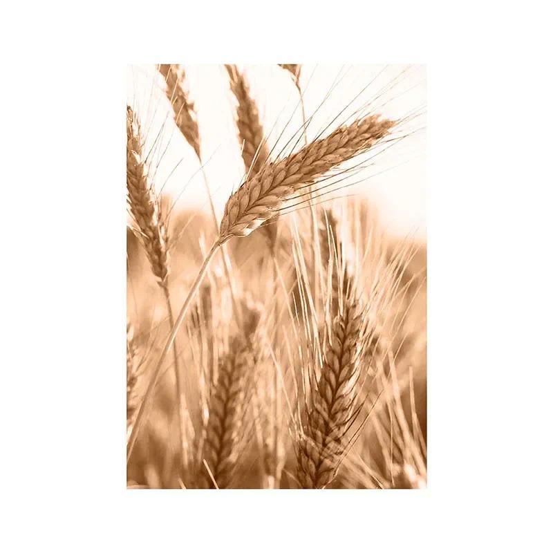 Canvas Painting Autumn Natural Poster Sunset Tree House Grass Reed Wheat Wall Art Print Pictures Living Room Home Decor