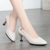 Women's High-heeled Shoes, Elegant and Goddess-like Style, Autumn and Spring Style, Versatile Mid-heel Soft Leather Shoes