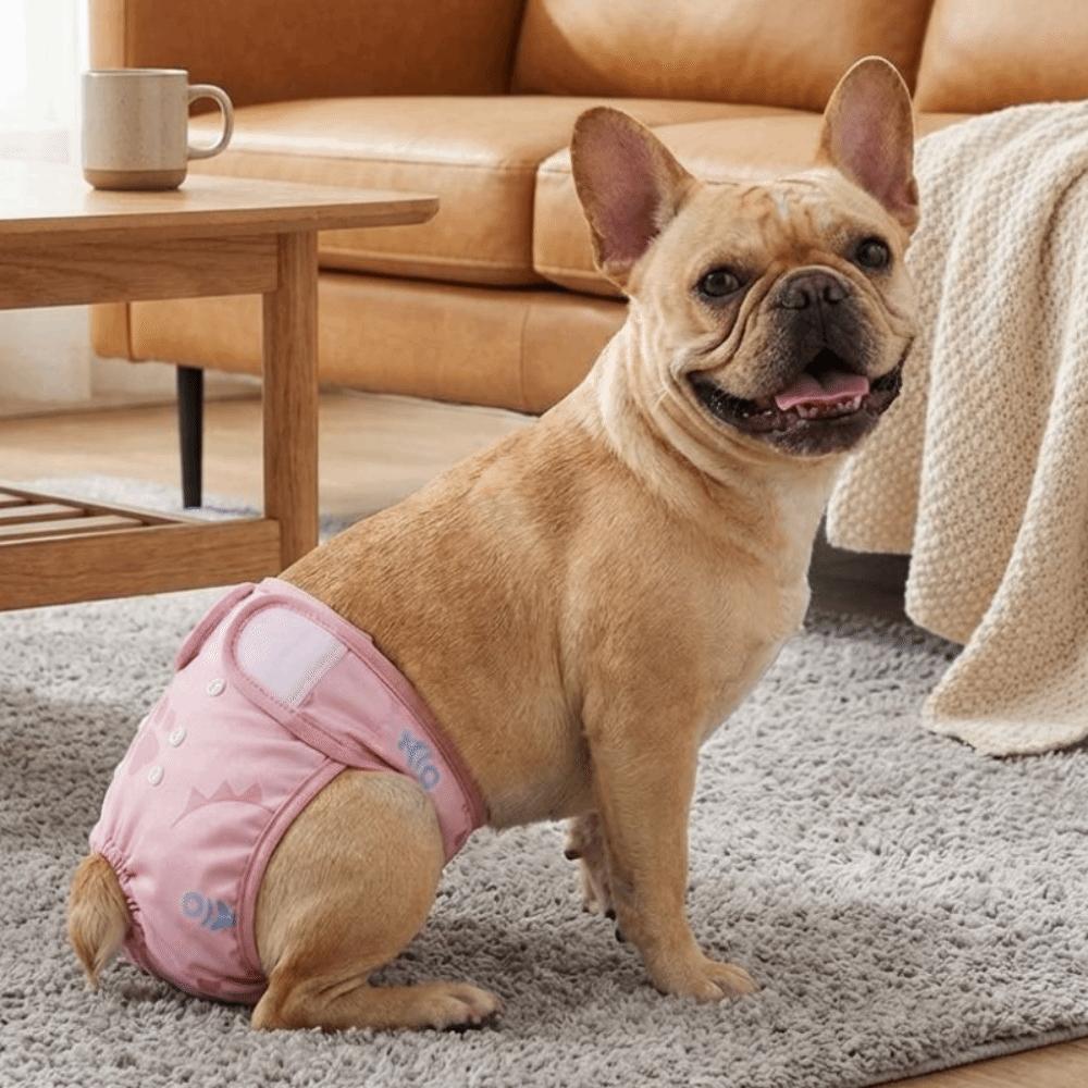 Washable Female Dog Diapers Breathable Dog Underwear Pet Sanitary Pants Dog in Heat