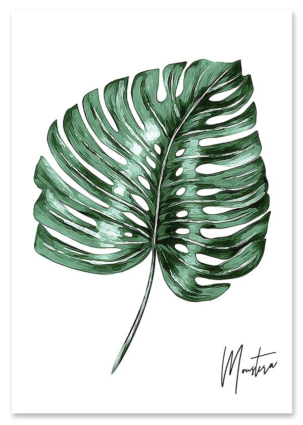 

Plakat monstera podpis 30x40 cm