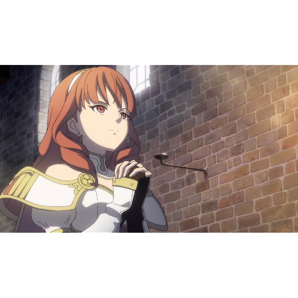 Fire Emblem Echoes: Another Hero King [Early Purchase Bonus] 1 “TCG Fire Emblem 0 (Cypher)” Limit...