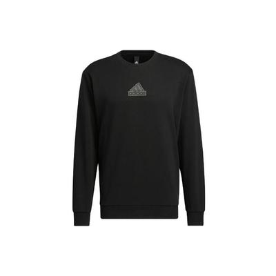Sweatshirts Men's Black Crew Neck Moderate Regular IP4965