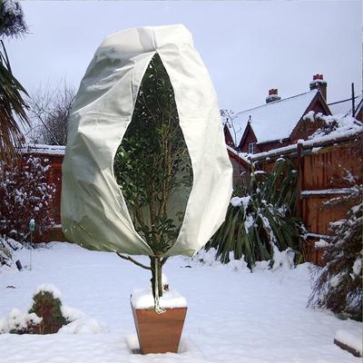 Cubiertas Frías para Plantas – Aislamiento de Jardín, Heladas para Árboles Frutales e Invierno con Cordón para Plantas de Exterior
