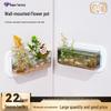 Wall-Mounted Mini Plastic Vase & Fish Tank for Hydroponics and Decor