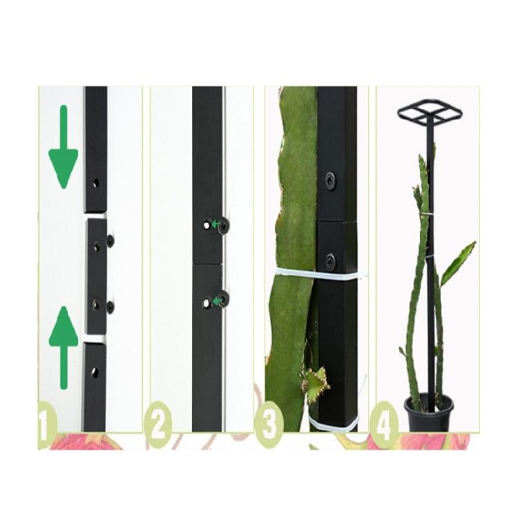Vertical Plant Cage Vertical Growth Adjustable Metal Trellis for Dragon Fruit Cacti Climbing Plant Support