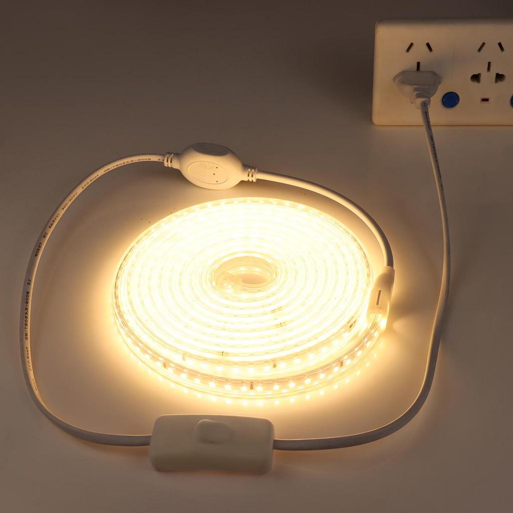 SMD2835 AC220V LED Strip Flexible Light 60LEDs/M Waterproof LED Tape LED Light With EU Plug