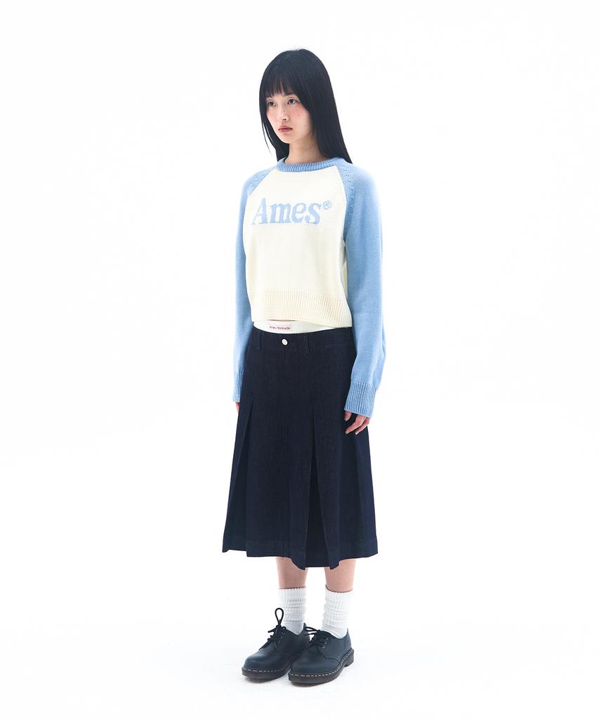AMES-WORLDWIDE Basic Raglan Pullover Knit Light Blue