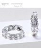 Elegant Zirconia Earrings for Women - High-End, Versatile, Shiny Jewelry