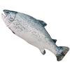 Plush Pillow Lovely Shape Washable Simulation Stuffed Fish Doll Toy Kids Gift