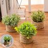Green Artificial Plants Eucalyptus Grass Woven Small Potted Plants Grass Mound 11cm PE Material Home Decoration