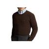 Polo Ralph Lauren FW23 Maglione Casual Girocollo Monocolore Maglione da Uomo Marrone MNPOSWE16821636-200