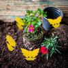 Insect Traps Protect The Plant Double Sided Gnat Traps Non-Toxic and Odorless Sticky Board Traps for Garden Plants Kitchen
