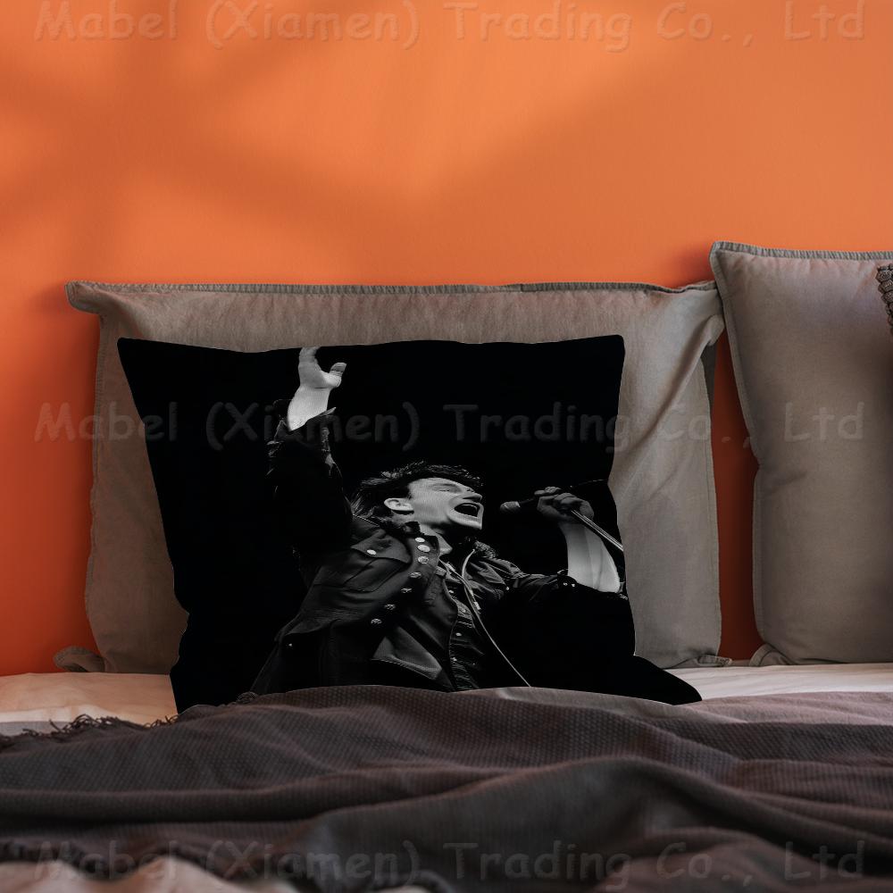 Rock Band U2 Pillow Gift Home Office Decoration Pillow Bedroom Sofa Car Cushion CoverPillow Case