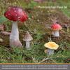 Outdoor Garden Ornaments: Simulated Mushroom Bonsai Decorations for Courtyard Landscaping