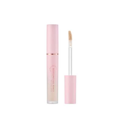 APERIRE Day Dream Cover Tip Concealer 4.5ml