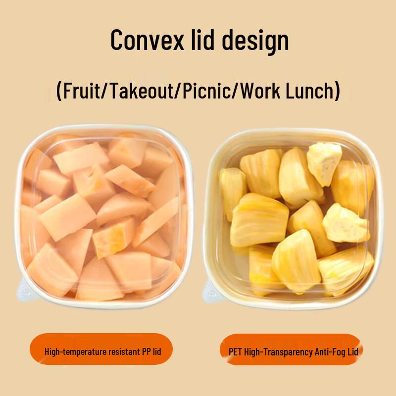 Disposable Square Fruit Takeout Containers