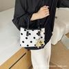 Summer New Niche Handbag Polka Dot Bucket Bag Shoulder Bag Messenger Bag Women