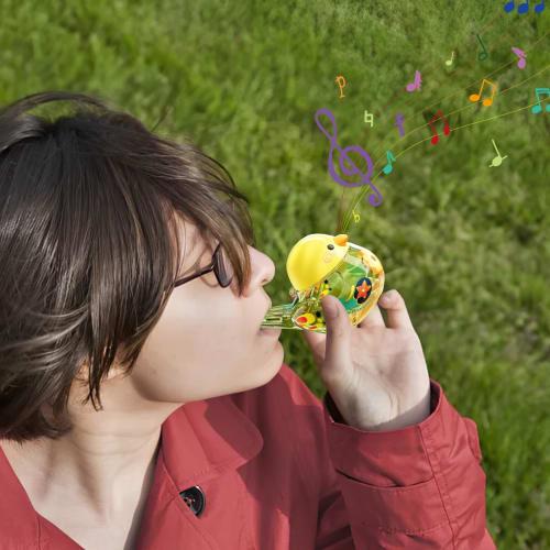 Bird Whistle for Kids, Bird Caller - Fun Water Whistle | Musical Instrument, Portable Whistle, Educational Musical Toy for Kids, School Prize