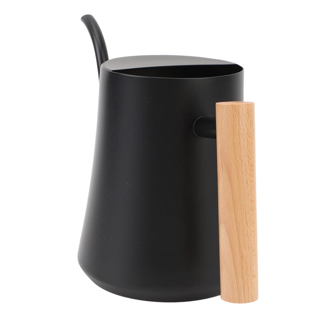 Indoor Watering Can Stainless Steel Wooden Handle Watering Pot with Long Spout for House Plants Flowers Succulents