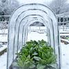 Yousheng 1 Set Gartenbögen Kunststoffbeschichtete Gewächshausbögen Rostbeständiger Pflanzenabdeckungshalter Anzuchttunnel für Hochbeete Gartenreihe