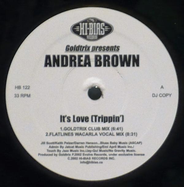 

12inch Record GOLDTRIX PRESENTS ANDREA BROWN Its Love Trippin HB122 HiBias Records 2002 Canada Dance Electronica Used